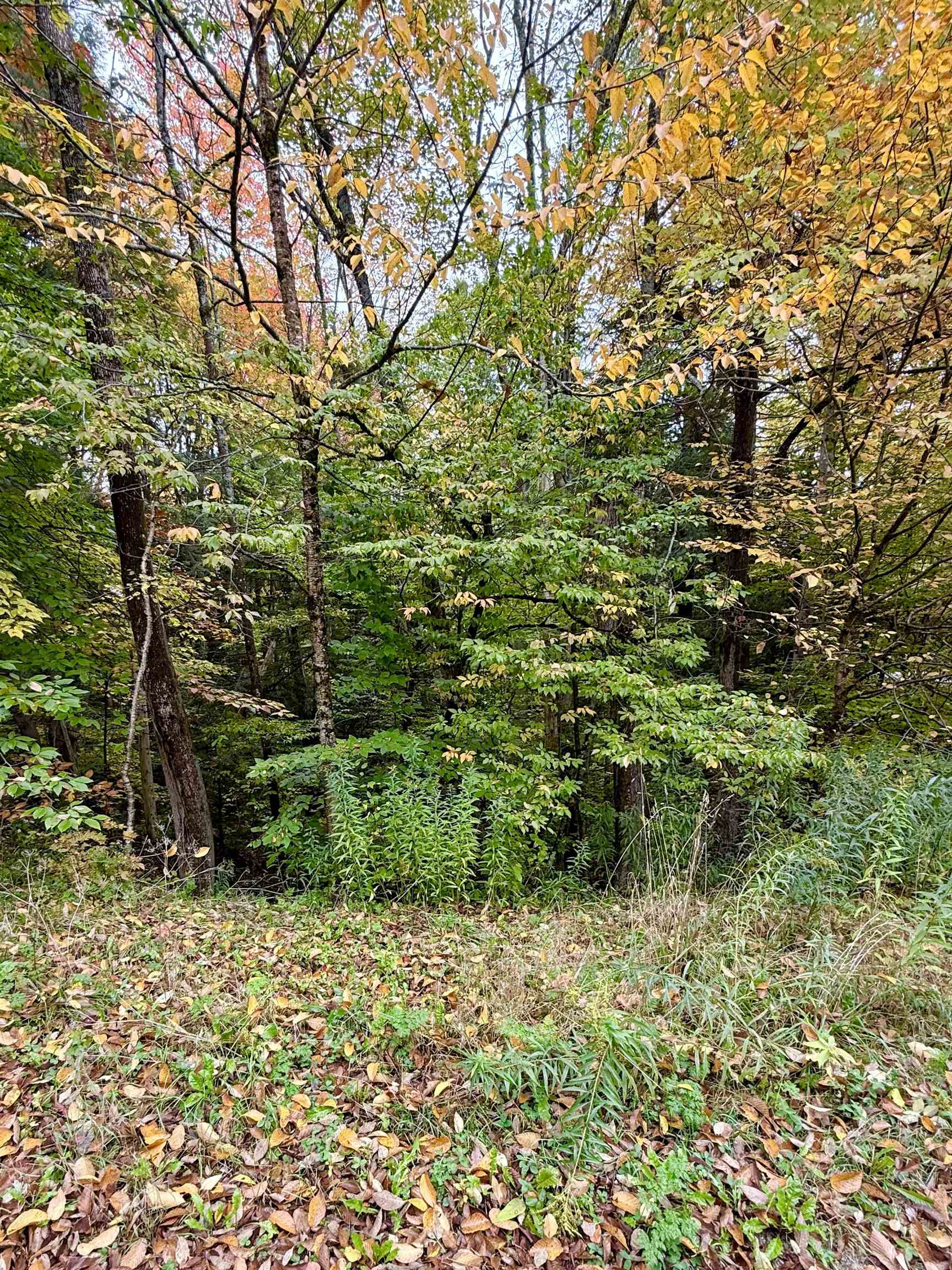 Photo 3 of Land for sale at 0 Okemo Way, Mount Holly, VT 05758 | MLS# 5113097 | Listing updated on 2026-10-08