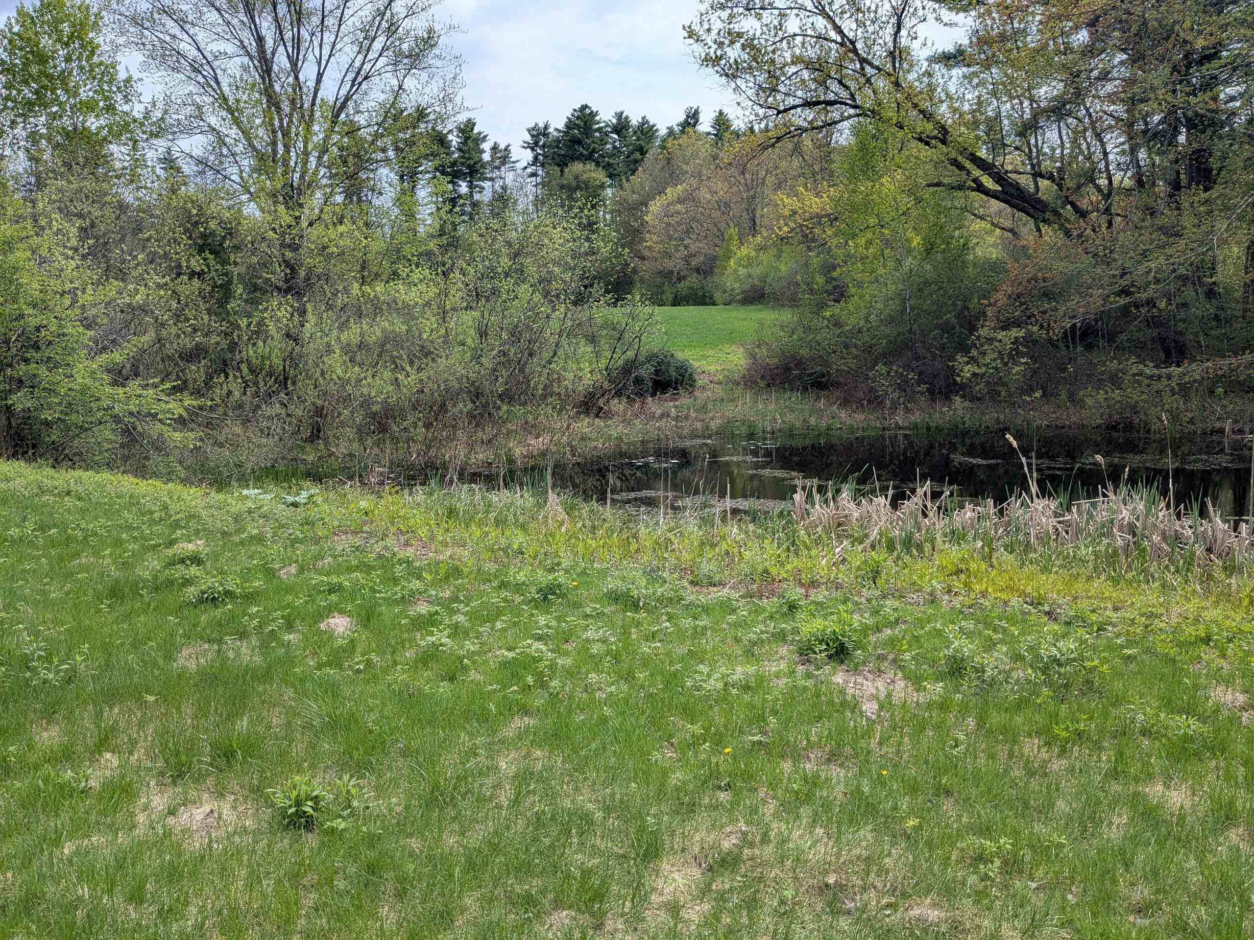 Photo 2 of Land for sale at 34 Boyce Rd, Canterbury, NH 03224 | MLS# 5113103 | Listing updated on 2026-10-06