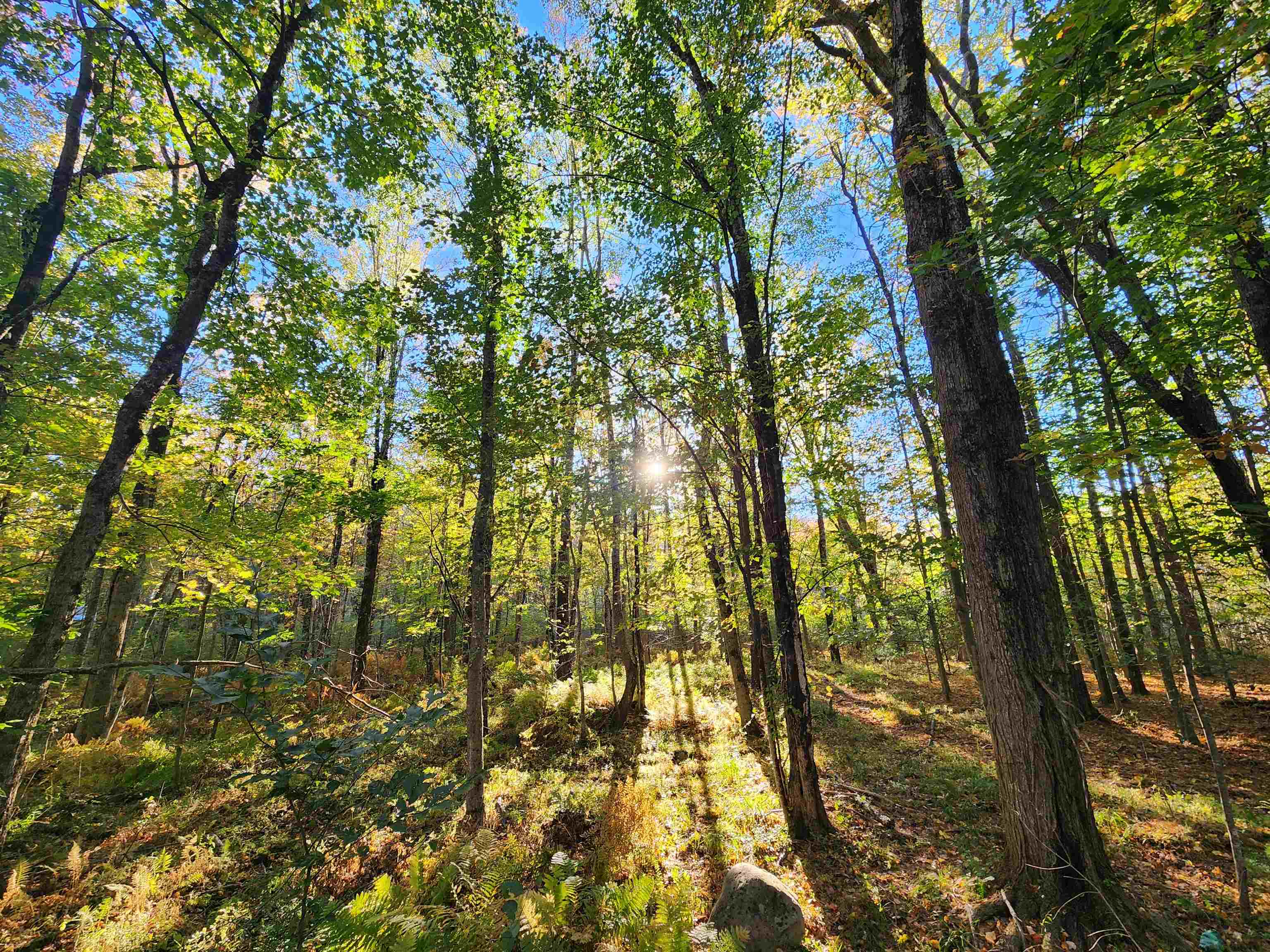 Photo 3 of Land for sale at Tbd Tall Pine Rd, Farmington, NH 03835 | MLS# 5113114 | Listing updated on 2026-10-07