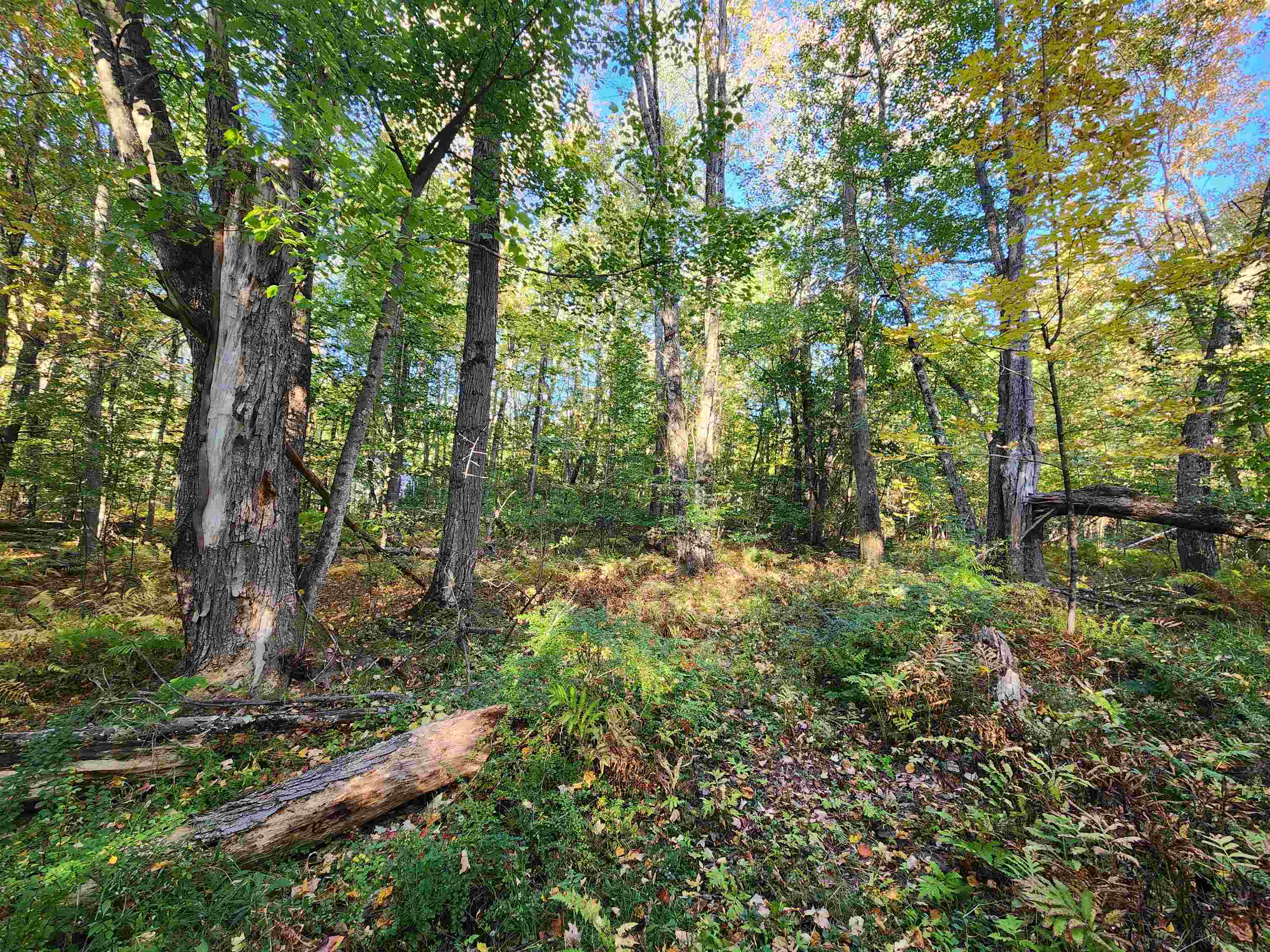 Photo 3 of Land for sale at Tbd Tall Pine Rd, Farmington, NH 03835 | MLS# 5113114 | Listing updated on 2026-10-07