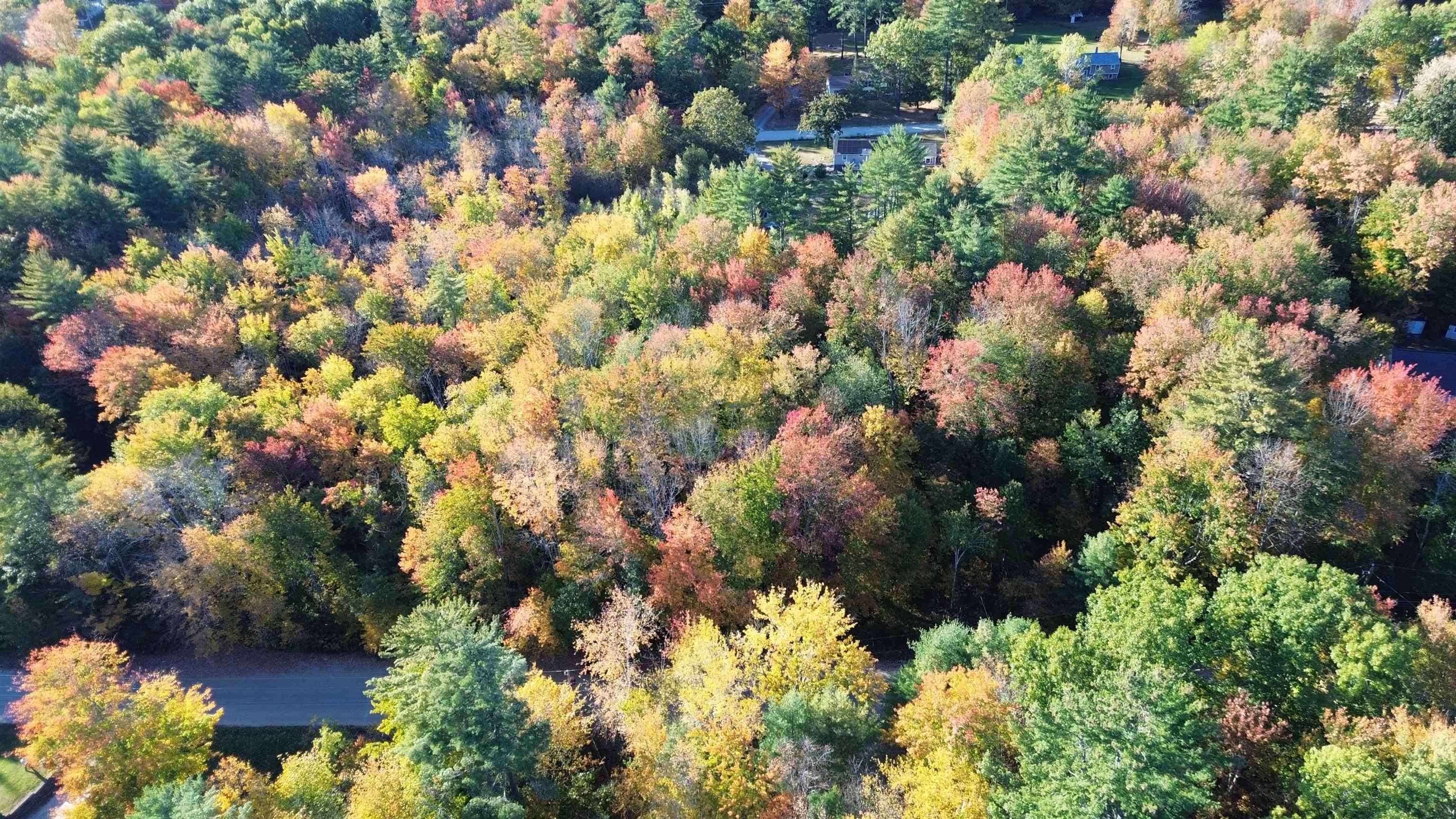 Photo 4 of Land for sale at Tbd Tall Pine Rd, Farmington, NH 03835 | MLS# 5113114 | Listing updated on 2026-10-07