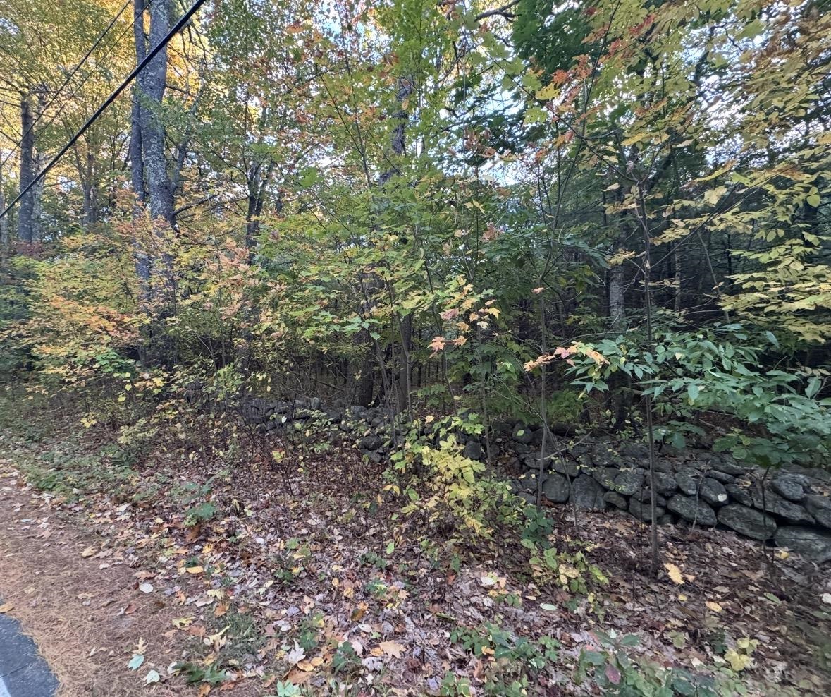 Photo 2 of Land for sale at Tbd R49 75 4 Bay Rd, Farmington, NH 03835 | MLS# 5113345 | Listing updated on 2026-10-08