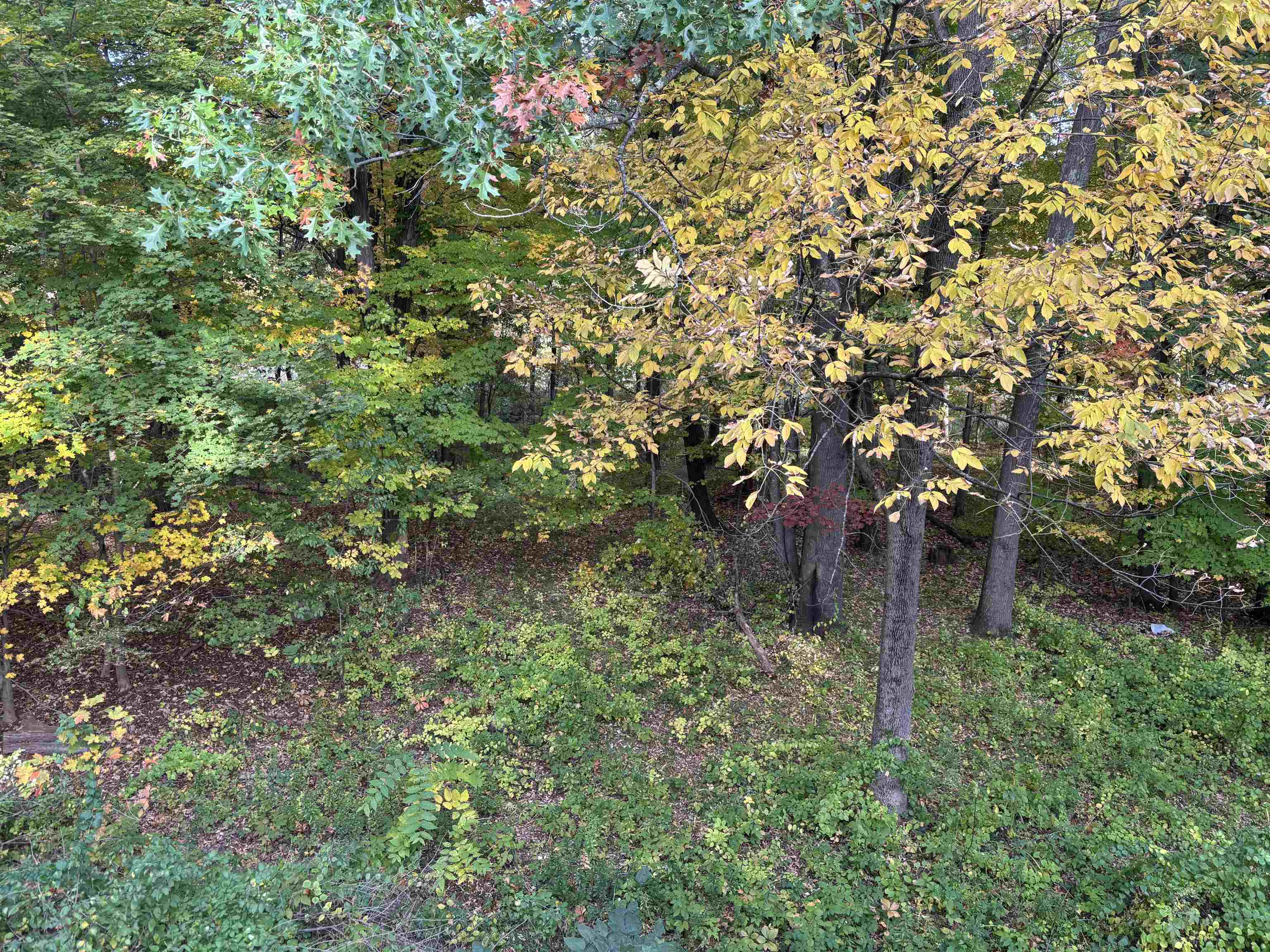 Photo 26 of 26