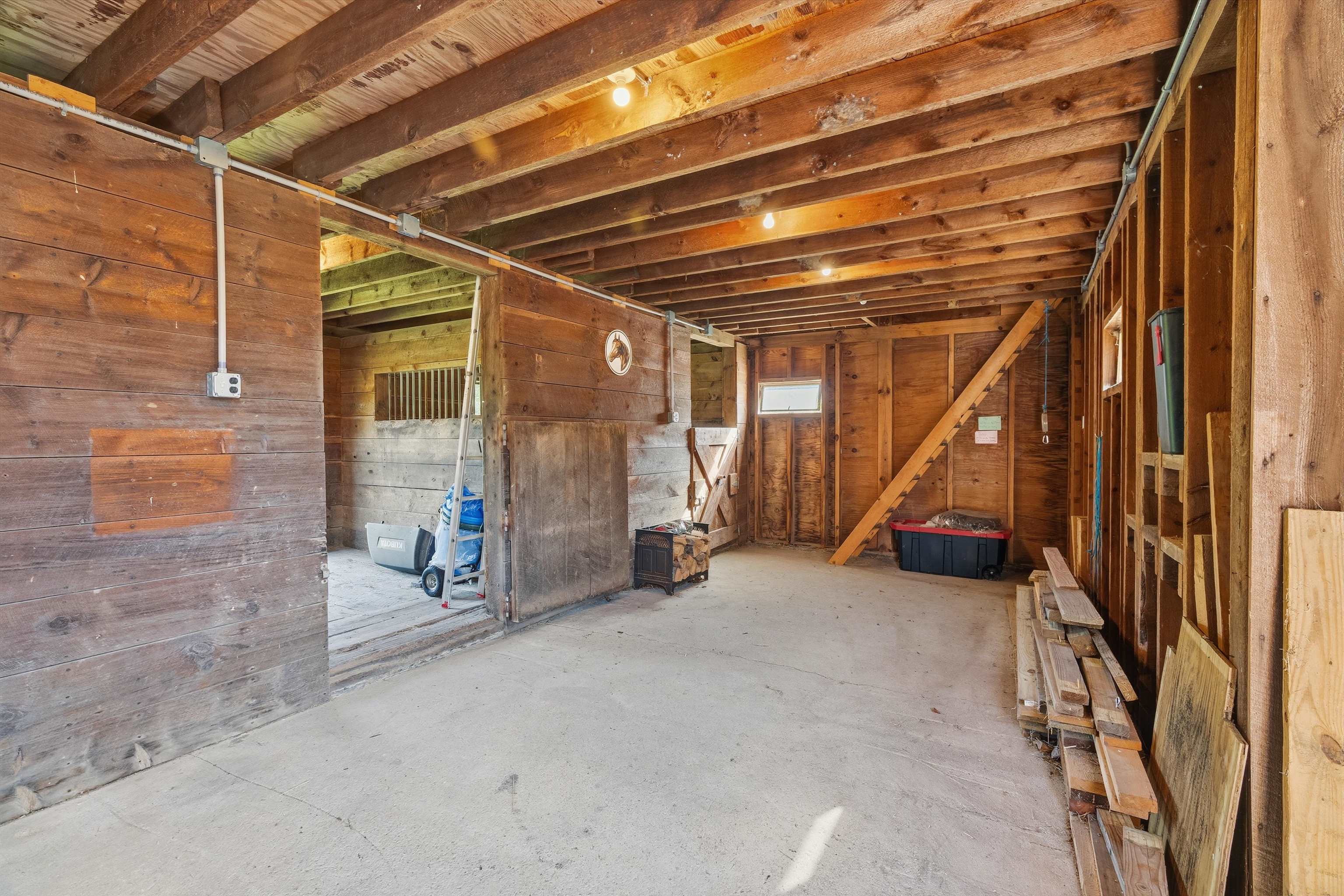Photo 5 of 46