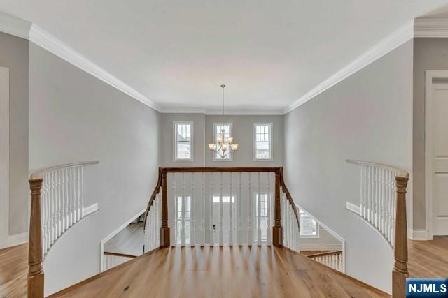 15 Roxbury Road — photo 24