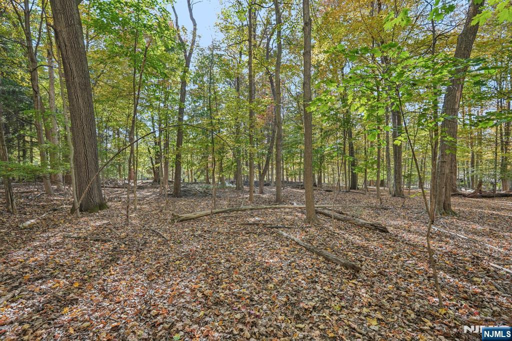 59 Old Stone Church Road, Upper Saddle River, NJ, 07458