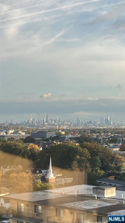 gorgeous NYC view