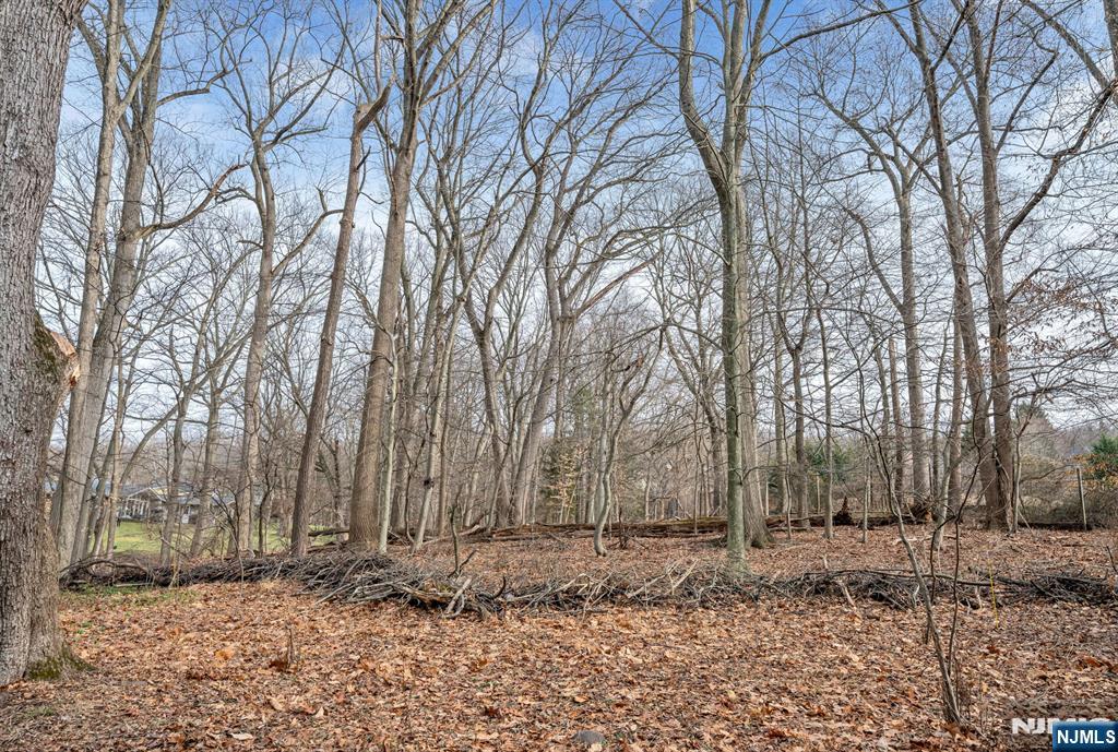 155 Hickory Lane, Closter, NJ, 07624