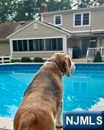 2 Overbrook Place, Hillsdale, NJ, 07642