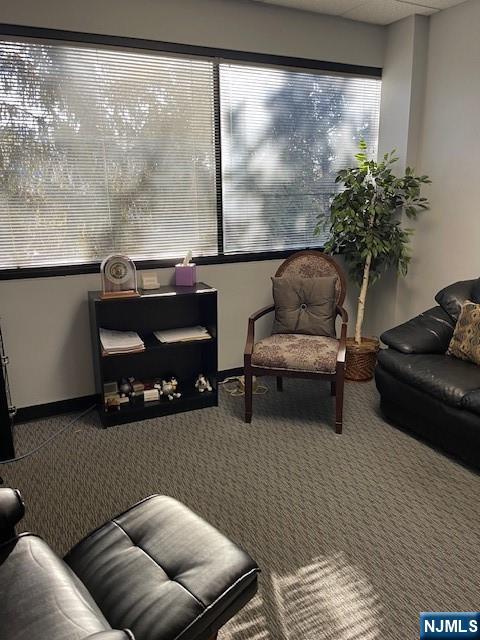 16 Arcadian Way - Photo 3