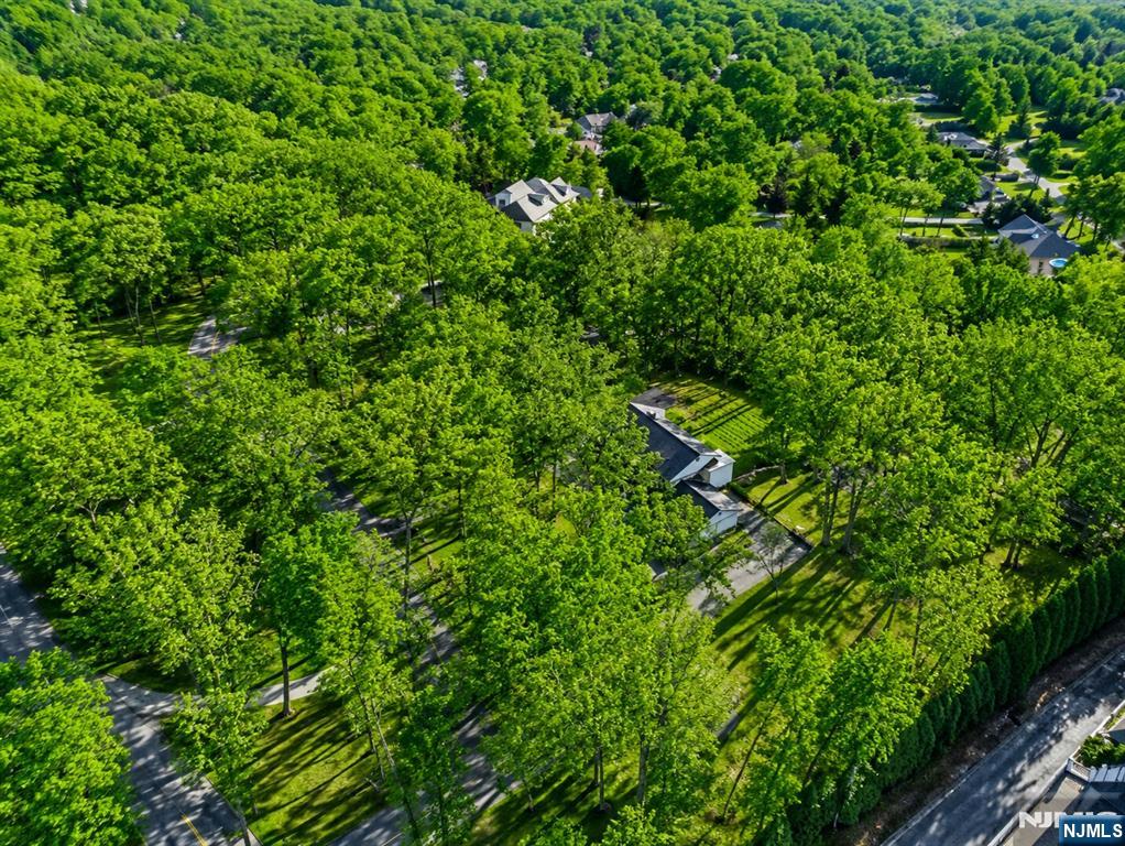 32 Litchfield Way, Alpine, NJ 07620