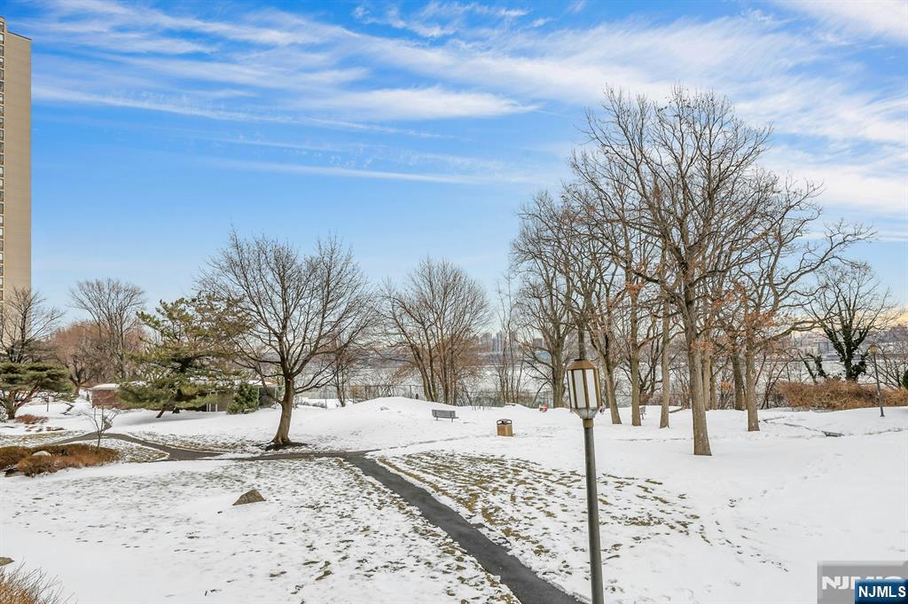 Winter Views