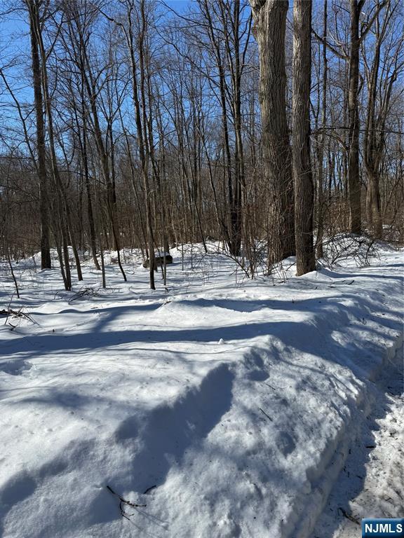 3rd image of 15 Saw Mill Rd, Kinnelon Borough, NJ 07405 | MLS# 26004712