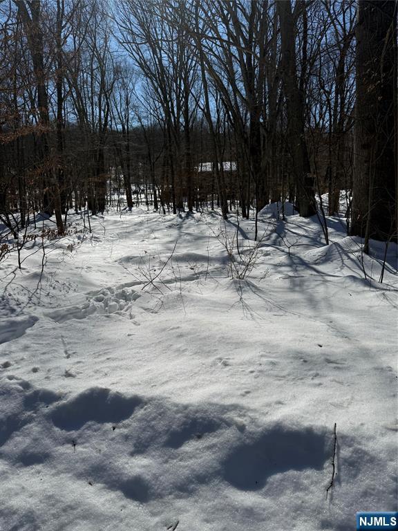 4th image of 15 Saw Mill Rd, Kinnelon Borough, NJ 07405 | MLS# 26004712