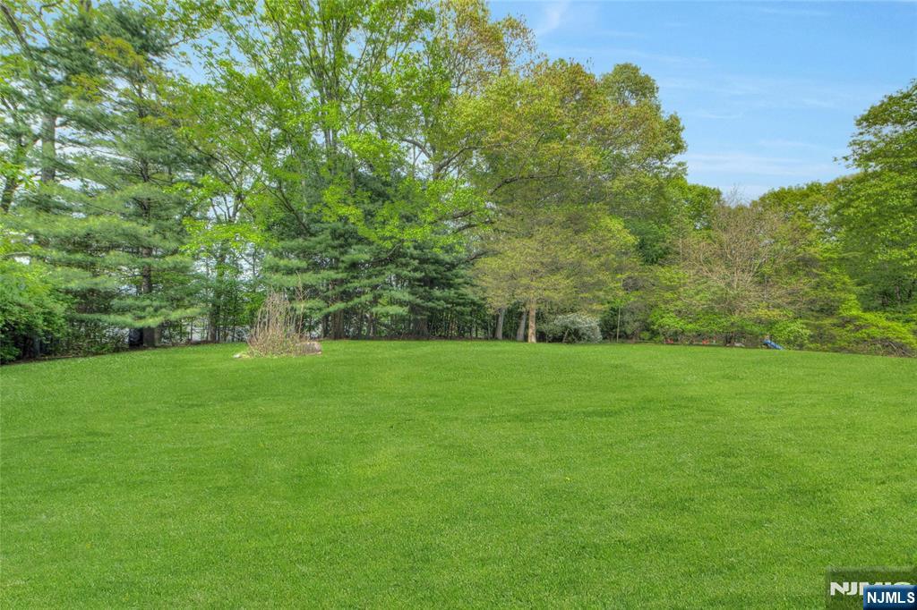 501 Clinton Avenue — photo 32