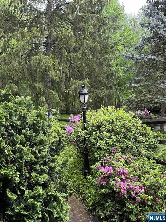 3 Lambs, Cresskill, NJ 07626 Listing Photo  12