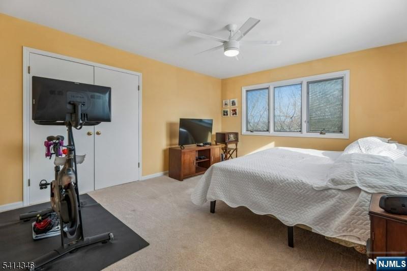 12 Dale Drive — photo 24