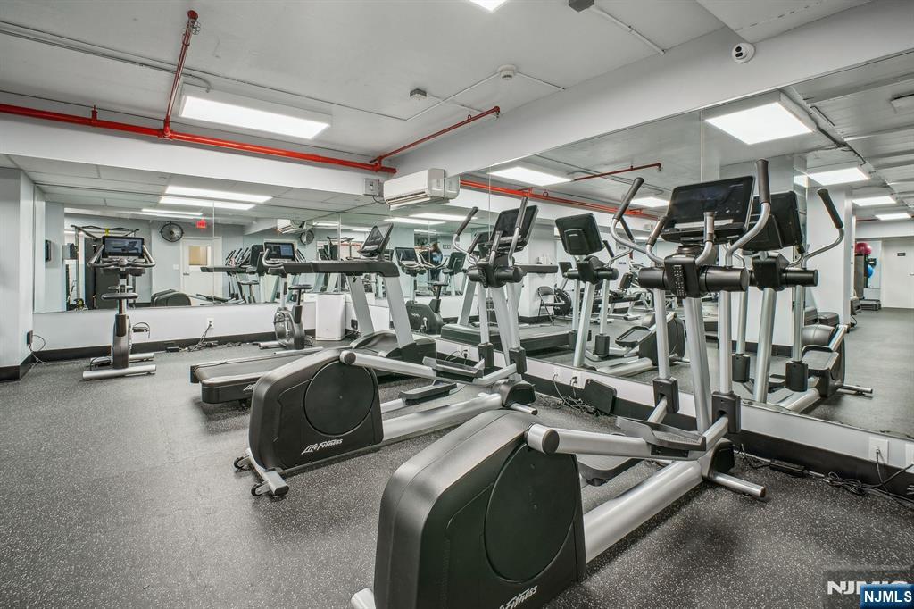 NEW GYM-INC. IN MAINTENANCE