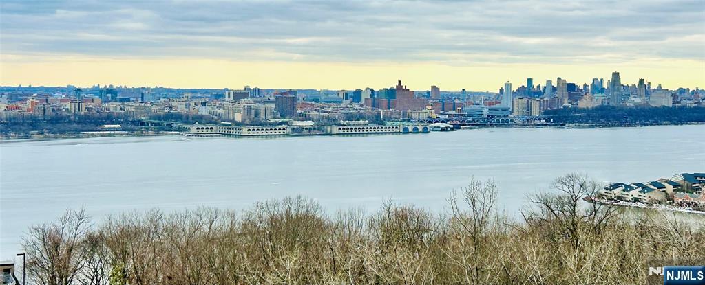 SouthEast facing Hudson RIver & NY Skyline from Balcony