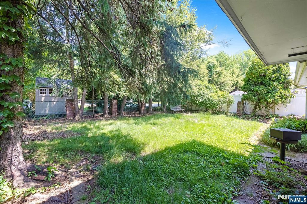Backyard with shed