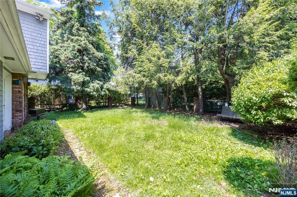 Another view of backyard