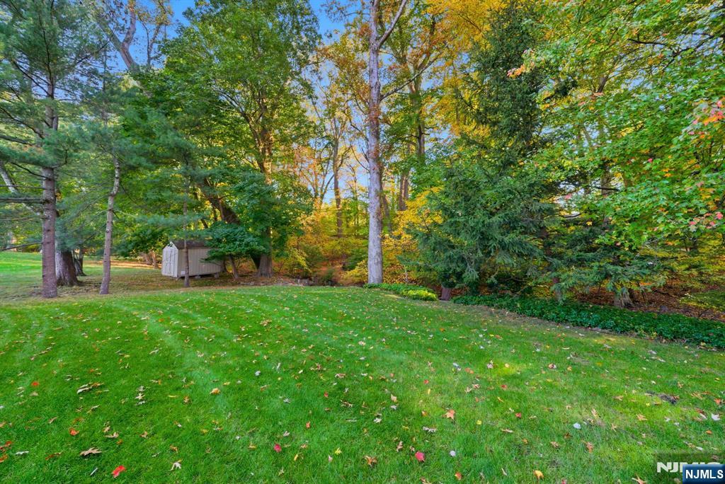 62 Venus Drive — photo 40