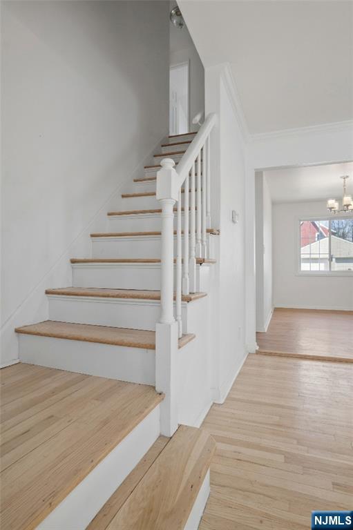 263 Genesee Avenue