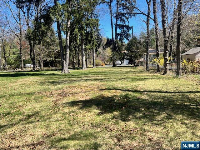 19 Crescent - Photo 2