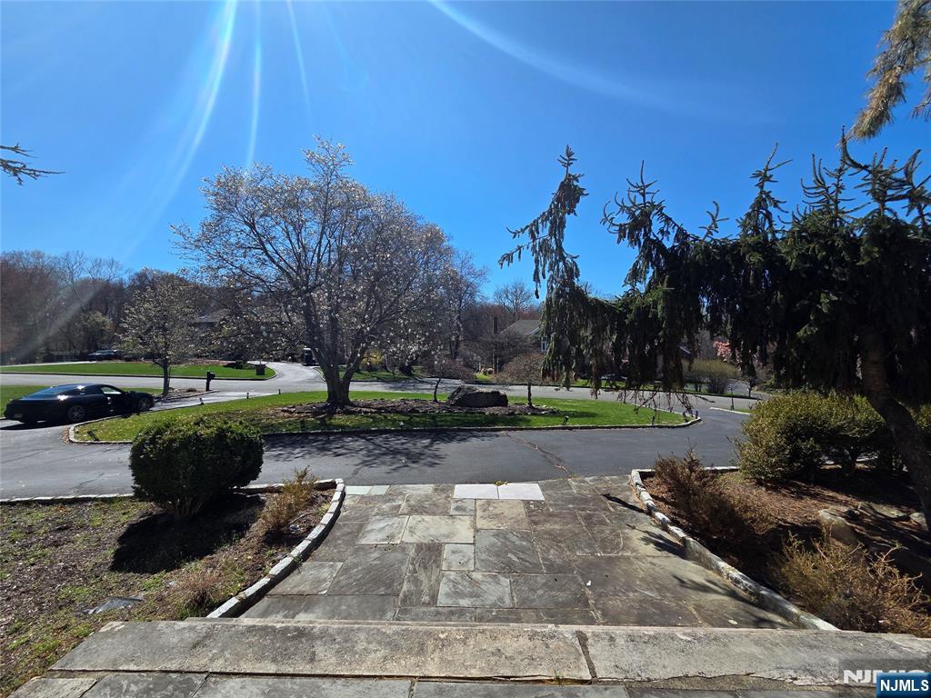 4 Valenza Lane - Photo 3