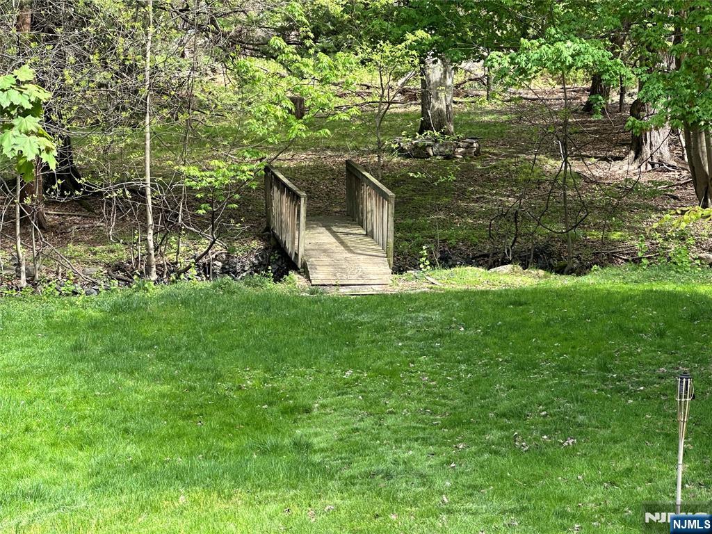 Back yard
