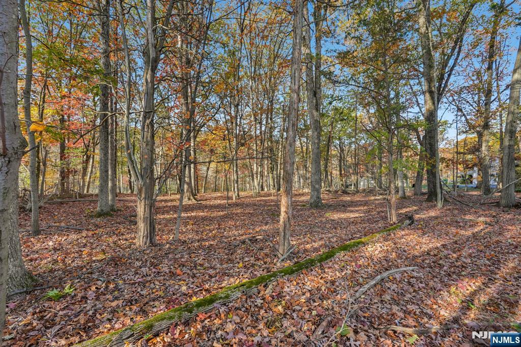 212 Seminole Lane - Photo 2