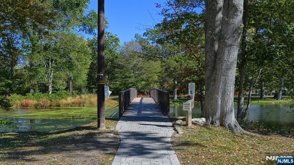 Bridge over lake
