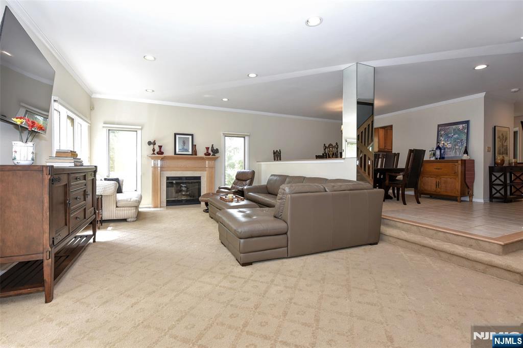 Living Room and Fireplace