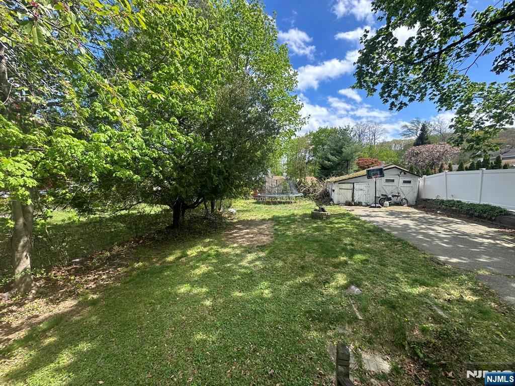 Back yard