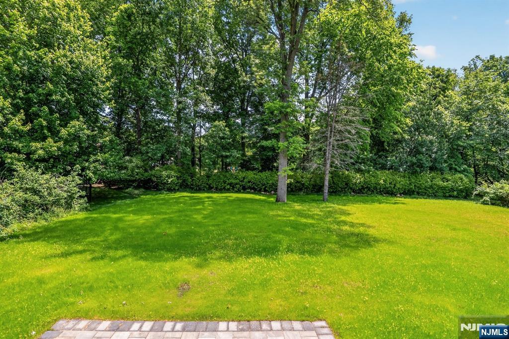 81 Ridge Drive — photo 17