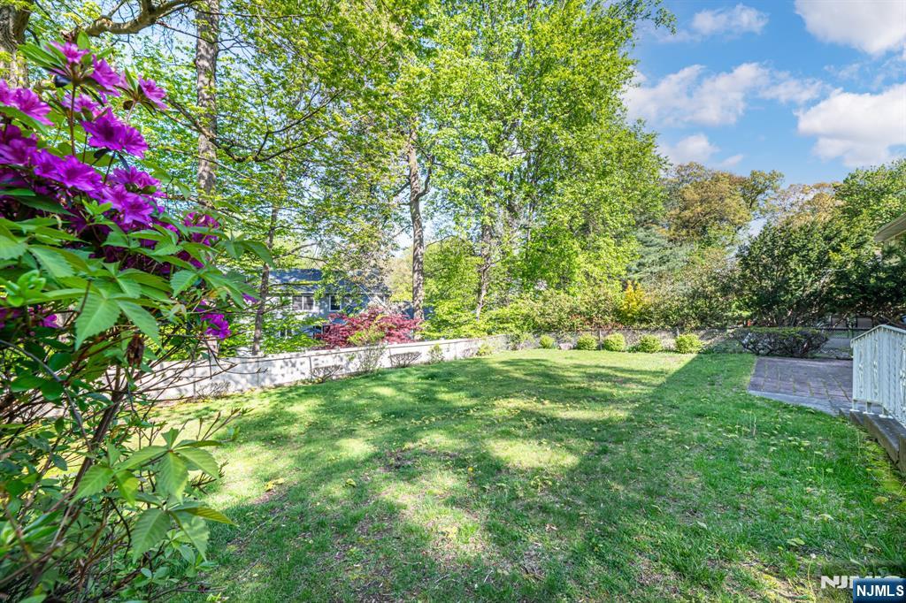 pretty floral in yard