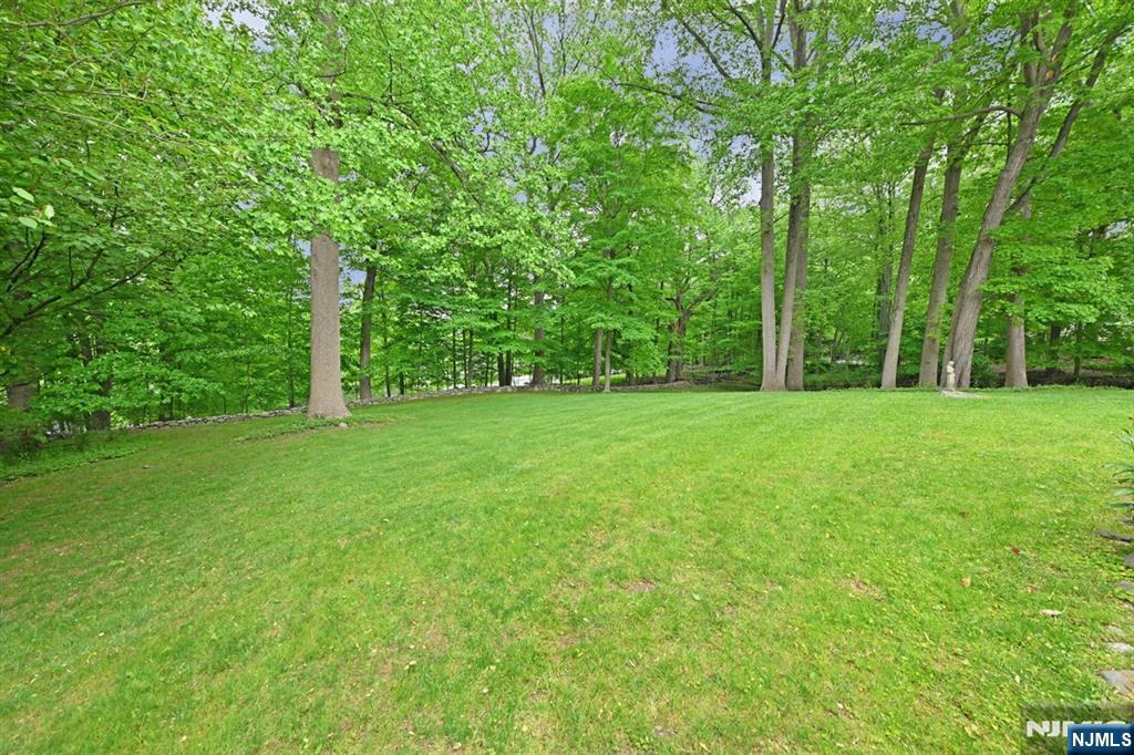 16 Knollwood Road — photo 35