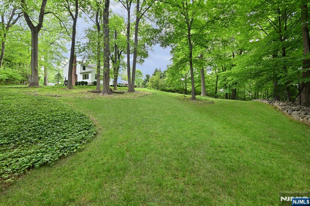 16 Knollwood Road — photo 37
