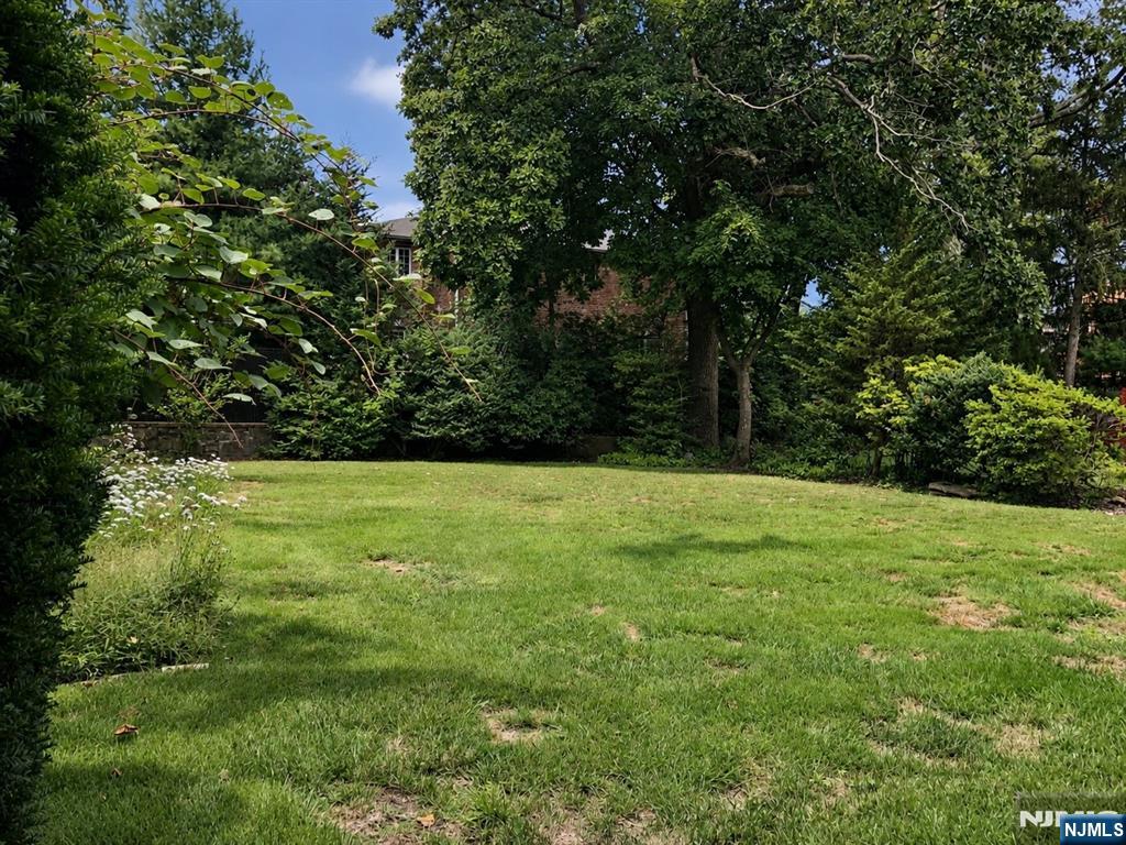 Oversized backyard