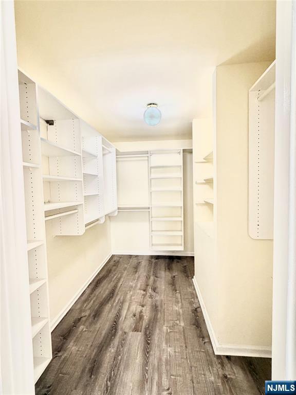Custom shelved closet