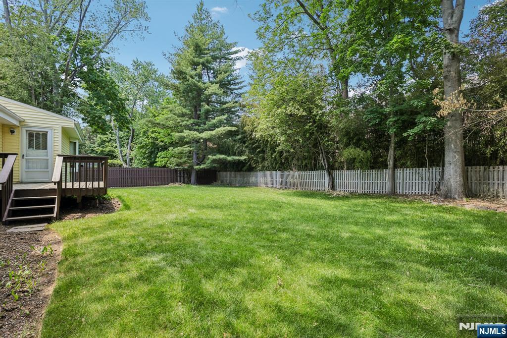Extensive Yard
