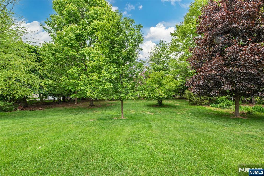 104 Shrewsbury Drive — photo 40