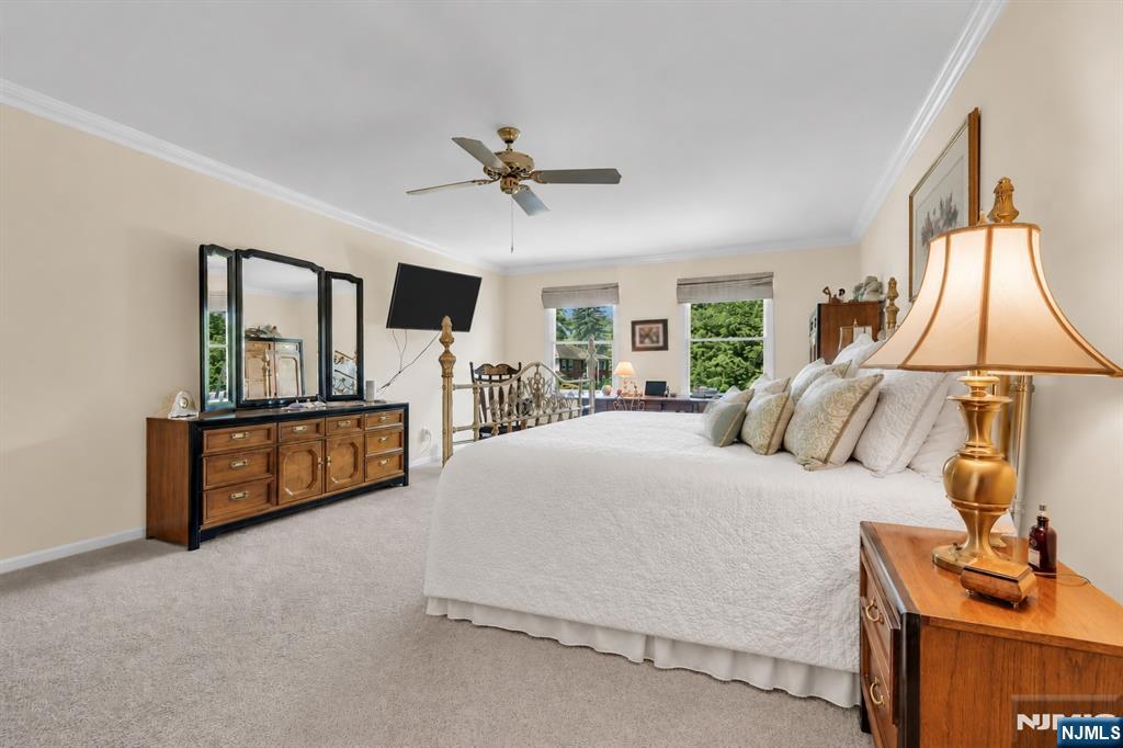 Property View 24