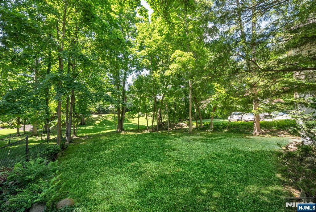 Extremely Lush and Flat Lower Yard