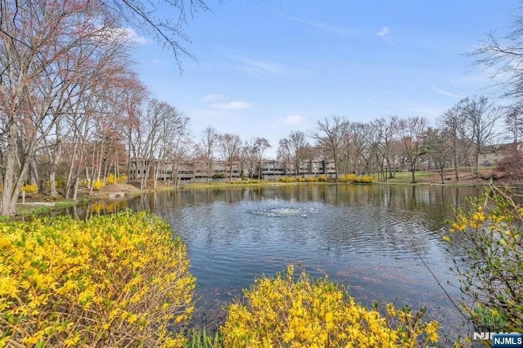 2-Acre Pond Encircled by a Lighted Walkway