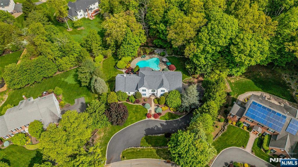 Front Aerial View from Further Away