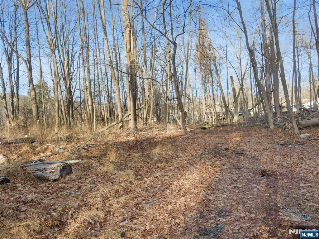 2046 Macopin, West Milford, NJ 07480 Listing Photo  3
