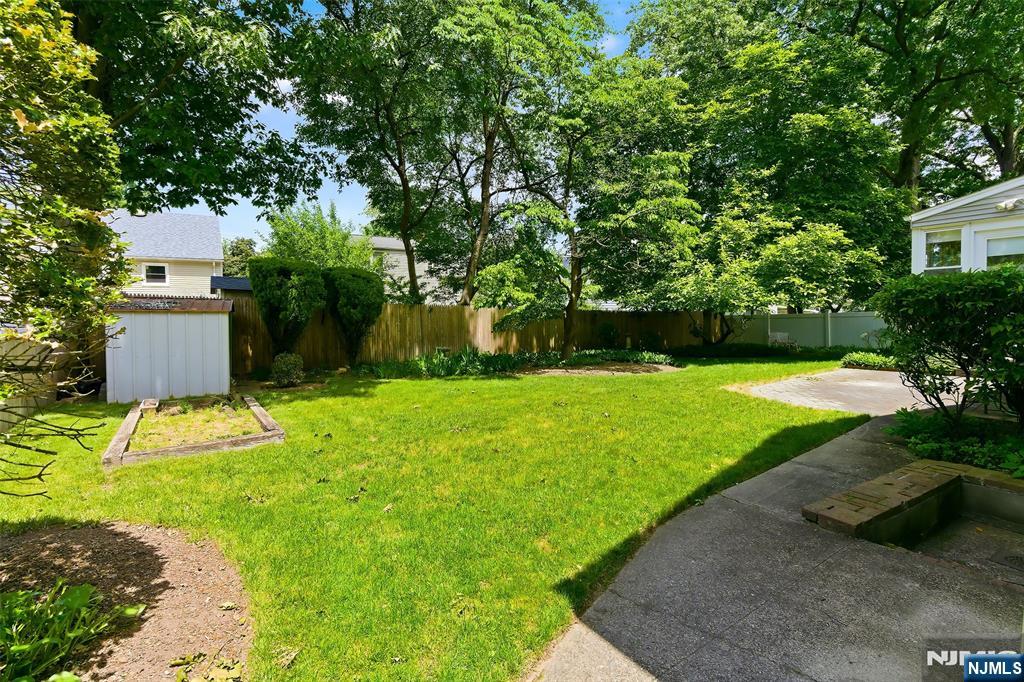 Huge Backyard