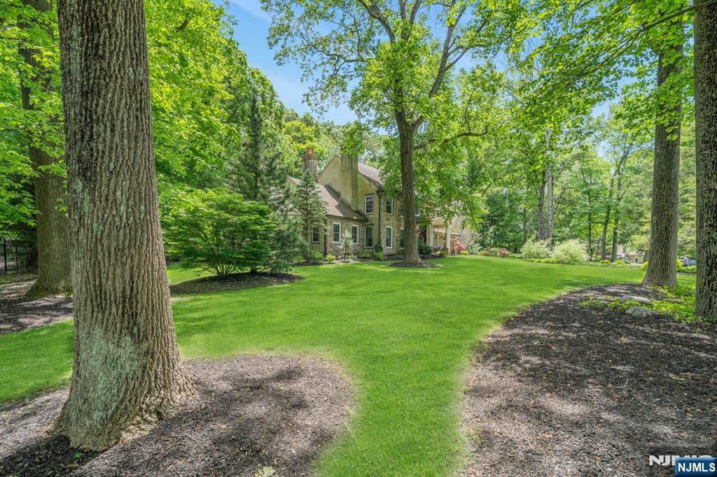 3 Rolling Ridge Drive — photo 33