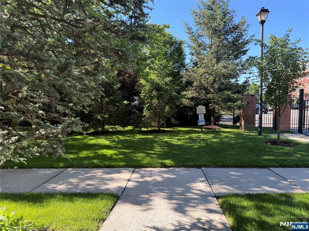 815 Deluca Road 815 - Photo 4